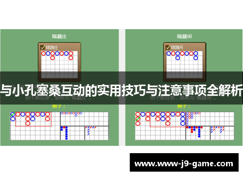 与小孔塞桑互动的实用技巧与注意事项全解析
