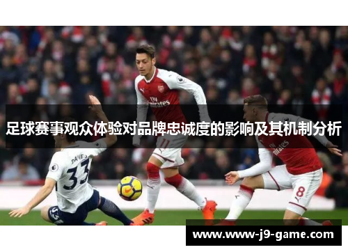 足球赛事观众体验对品牌忠诚度的影响及其机制分析