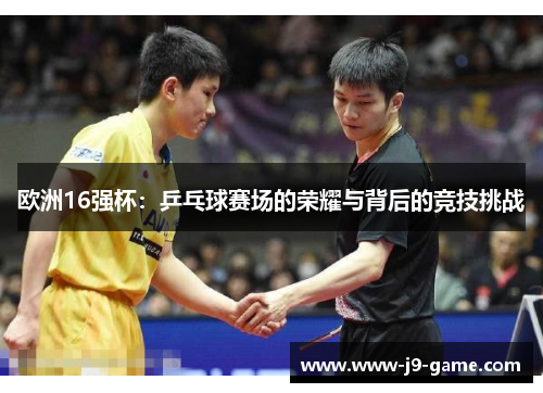 欧洲16强杯：乒乓球赛场的荣耀与背后的竞技挑战